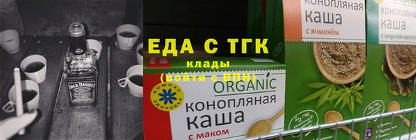 индика Алексин