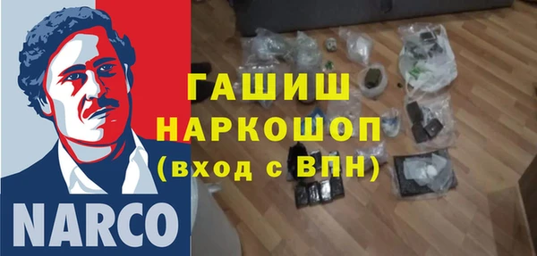индика Алексин