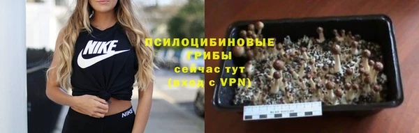 меф Алзамай
