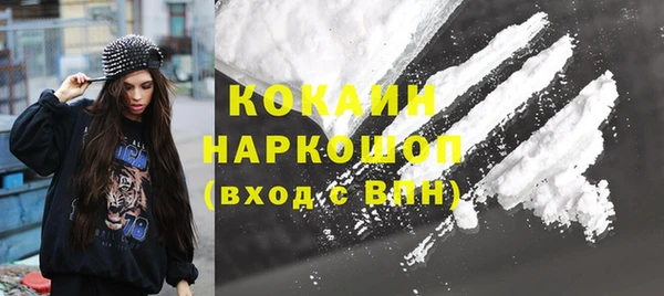 индика Алексин