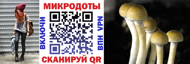 Галлюциногенные грибы мухоморы  Ленинск 